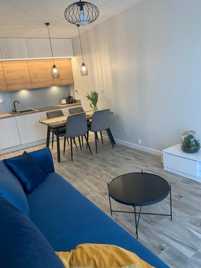 Centropolis 41 Apartment Stary Toruń Екстериор снимка